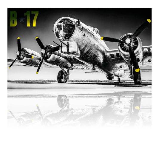 B17 - 60 cm X 33,5 cm