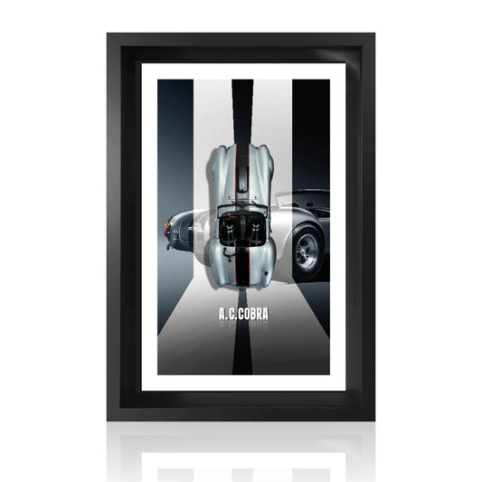 AC COBRA - 60 cm X 40